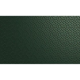 Colorcoat Plastisol HPS met folie Ivy (3000 x 1250 x 0,7 mm)
